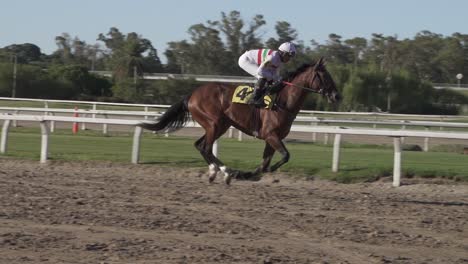 Slow-motion-shot-of-professional-Jockey-on-racing-horse-running-on-racecourse-during-sunset