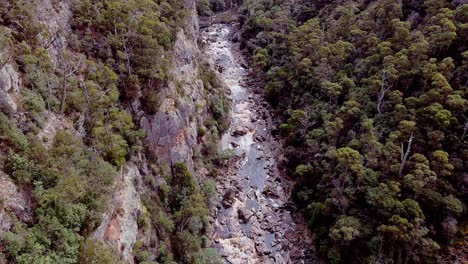 Aerial-top-down-shot-over-narrow-river-flowing-through-Leven-Canyon,-Tasmania,-Australia-at-daytime