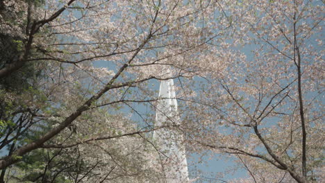 Frühling-In-Südkorea