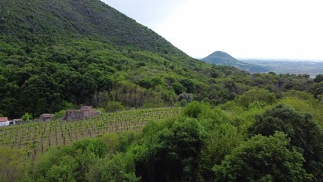 Vista-Aérea-Panorámica-Del-Paisaje-De-Viñedos-En-Las-Colinas-Euganei-De-Padua,-Italia