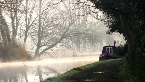 Canal-boat-in-a-foggy-morning-with-a-duck-to-the-left