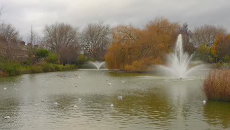 Gulls-Swimming-At-Blessington-Street-Basin-With-Fountain-And-Trees-In-Autumn-Colors-In-Dublin,-Ireland