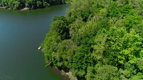 Fliegen-über-Grüne-Bäume-Wald-Neben-Dem-Fluss