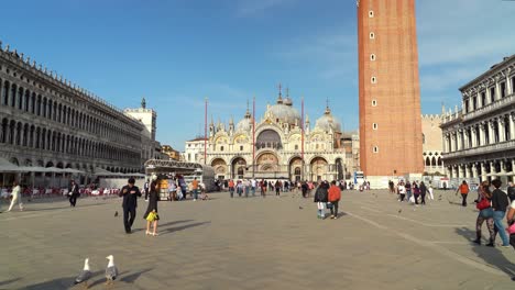 Tauben-Fliegen-Direkt-In-Die-Kamera,-Während-Sie-über-Den-Markusplatz-In-Venedig-Gehen