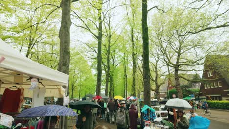 Punto-De-Vista-De-Los-Puestos-Del-Mercadillo-En-Kingsday-Bajo-Los-árboles-En-Amsterdam-Oud-Zuid