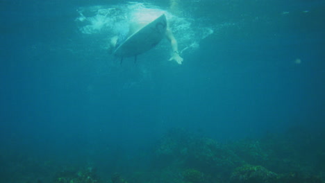 Surfer-paddles-forward-on-shortboard-above-reef,-underwater-looking-up