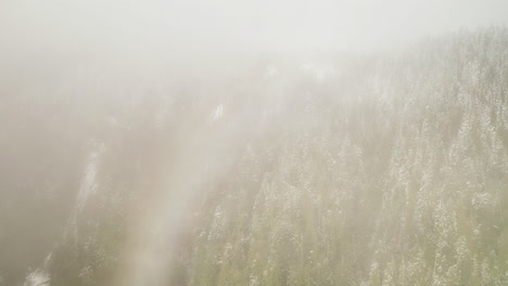 Volando-A-Través-De-Nubes-Y-Niebla-Sobre-Un-Denso-Bosque-Con-Nieve-En-Invierno-En-La-Península-Olímpica,-Washington,-Estados-Unidos