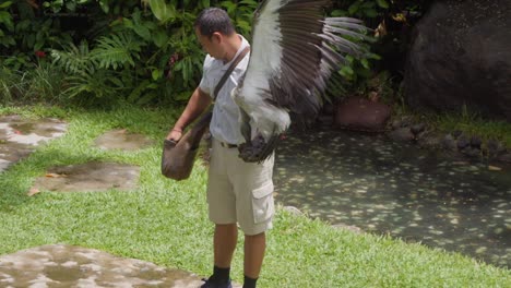 Cuidador-Presentando-Un-Cóndor-Durante-El-Espectáculo-De-Aves-De-Bali