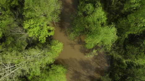 Muddy-river-winding-through-lush-green-forest-in-william-b