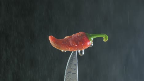 Un-Ají-Pequeño-En-La-Punta-De-Un-Cuchillo-Con-Gotas-De-Agua