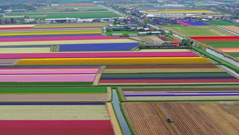 Vista-Aérea-De-Coloridos-Campos-De-Tulipanes-Con-La-Ciudad-De-Lisse-Al-Fondo,-Países-Bajos