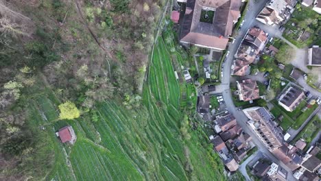 A-bird's-eye-view-captures-the-cascading-agricultural-fields-near-the-settlement-of-Wessen,-situated-by-Lake-Walensee-in-Switzerland,-the-symbiotic-relationship-between-humans-and-the-land