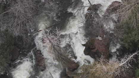 Der-Rauschende-Wasserfall-Des-Owen-Sound-Inmitten-Kahler-Bäume-In-Ontario,-Kanada,-Bei-Tageslicht,-Luftaufnahme