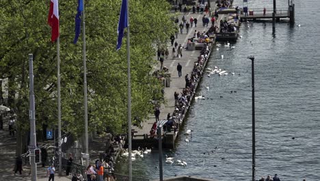 Right-moving-shot-of-city-inhabitants-seated-on-the-lake-front-in-Zurich