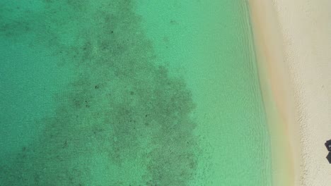 Aerial-tilt-up-view-revealing-sandy-path-through-clear-waters-at-Cayo-de-Agua,-Los-Roques