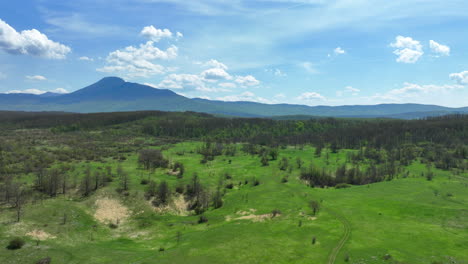 Low-flight-over-a-mountain-plateau-overgrown-with-grass-and-sparse-forest-in-early-spring-with-mountain-peaks-in-the-background-and-a-blue-sky-with-scattered-clouds