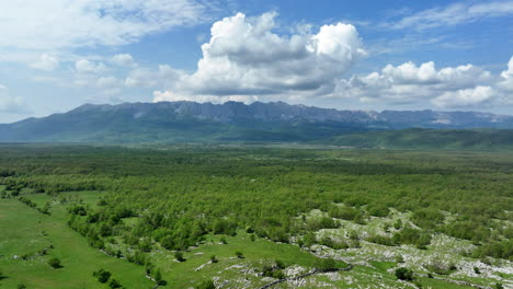 Vista-Aérea-De-Una-Meseta-Montañosa-Cubierta-De-Hierba-Salpicada-De-Parches-De-Bosque,-Capturada-A-Principios-De-Primavera,-Con-Picos-Montañosos-Distantes-Bajo-Un-Cielo-Azul-Parcialmente-Nublado