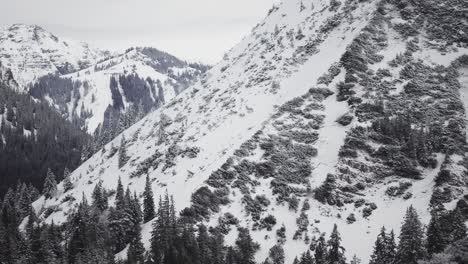 Schneller-Flug-über-Die-österreichische-Alpenlandschaft-Mit-Parallaxschichten-Von-Berggipfeln,-Die-Mit-Kiefern-Und-Frischem-Schnee-Bedeckt-Sind