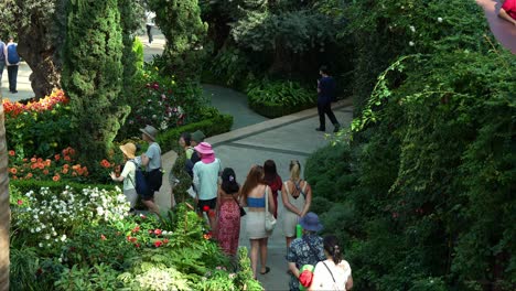 Los-Turistas-Pasean-Por-Los-Campos-De-Flores,-Explorando-El-Famoso-Lugar-Turístico-De-Singapur,-El-Invernadero-De-Cristal-Con-Cúpula-De-Flores-En-Los-Jardines-Junto-A-La-Bahía.