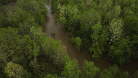 El-Río-Fangoso-Que-Serpentea-A-Través-De-Densos-Bosques-Verdes-En-William-B