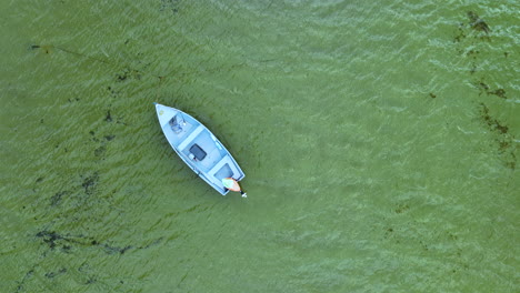 Toma-Aérea-De-Arriba-Hacia-Abajo-De-Un-Pequeño-Barco-Navegando-A-Través-De-Una-Vibrante-Agua-Costera-Cubierta-De-Algas,-Destacando-Un-Sorprendente-Contraste-Entre-El-Mar-Verde-Intenso-Y-El-Elegante-Gris-Del-Barco.