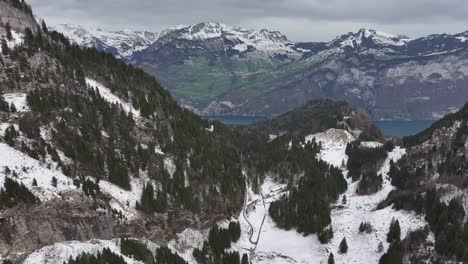 Antena-Del-Valle-Montañoso-Cubierto-De-Nieve-Salpicado-De-Pinos-Verdes-Y-Un-Lago-Azul-En-El-Fondo