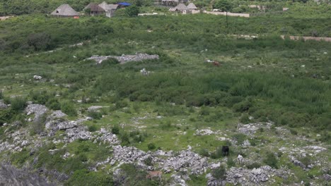 Üppige-Tropische-Afrikanische-Küste-Des-Mtende-Strandes-Auf-Der-Insel-Sansibar,-Tansania