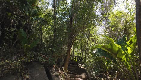 Vista-Inclinada-Hacia-Abajo-Desde-Los-árboles-Forestales-En-El-Parque-Natural-Nacional-Tayrona-En-Un-Día-Soleado