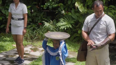 Alimentando-Una-Cometa-Brahminy-Durante-Un-Espectáculo-De-Aves-En-Bali.