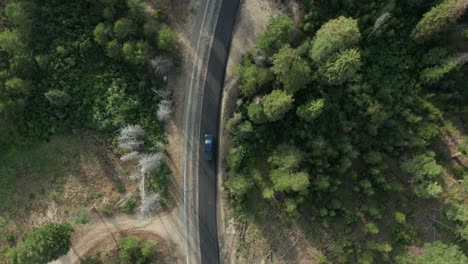 Top-down-drone-footage-of-a-windy-mountain-road-in-the-sawtooth-mountains-with-a-car-driving