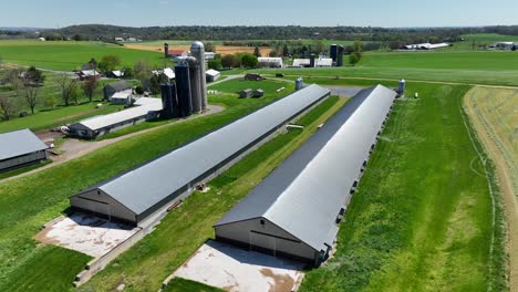 Vista-Aérea-De-Una-Gran-Granja-Con-Graneros-Largos-Y-Modernos,-Silos-Y-Exuberantes-Campos-Verdes-En-Un-Paisaje-Rural