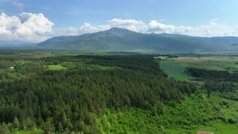 Flying-low-over-a-verdant-mountain-plateau,-showcasing-early-spring-greenery-and-scattered-trees,-with-towering-mountain-peaks-in-the-distance-against-a-blue-sky-with-light-clouds