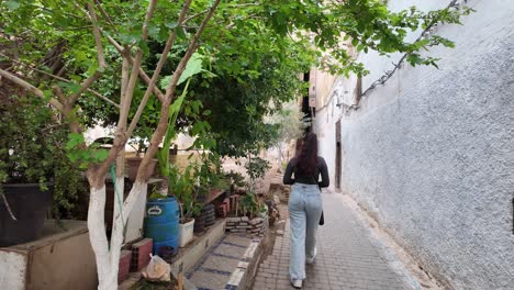 Medina-De-Fez,-Calles-Estrechas,-Casco-Antiguo-En-Marruecos,-Punto-De-Vista-Para-Caminar.