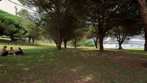 Families-picnicking-in-the-shade-of-pine-trees-in-grassy-field-next-to-the-sea-on-a-summer-vacation-day,-mother,-father,-son,-sunny-day,-descriptive-shot