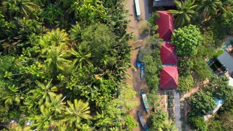 Top-down-flight-over-a-river-and-palm-trees,-in-a-tropical-forest-in-Bến-Tre,-Vietnam,-Asia