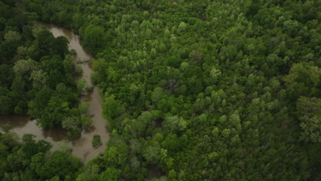 Vista-Aérea-Del-Río-Wolf-Con-Agua-Turbia-A-Lo-Largo-De-Un-Denso-Bosque-En-Collierville,-Tennessee,-EE.UU.