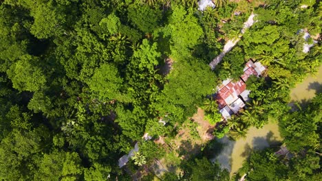 Casa-Comunitaria-De-Aldea-Indígena-En-La-Selva-Amazónica,-Paso-Elevado-Aéreo-De-Arriba-Hacia-Abajo