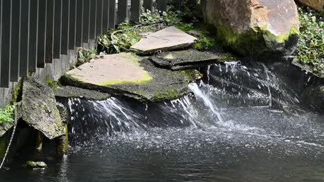 Cascada-Dentro-Del-Tropicario,-Jardín-Botánico-De-Bogotá,-Colombia