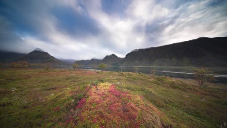 Faszinierende-Landschaft-Der-Herbsttundra-Am-Ufer-Des-Fjords
