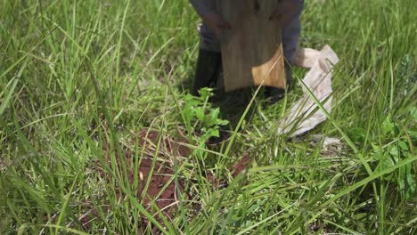 Granjero-Plantando-Y-Protegiendo-Un-árbol-De-Trompeta-Rosa,-Primer-Plano,-Trabajo-Manual