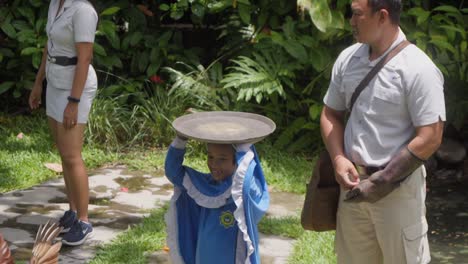 Füttern-Eines-Brahminenweihs-Während-Einer-Vogelschau-Auf-Bali