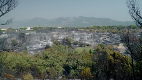 Wide-shot-of-burnt-trees-after-big-fire-at-Parnitha-mountain,-Greece