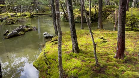 Kokedera-Saihoji-Tempelgarten-Mit-Ruhigem-See-Und-Moosiger-Landschaft-In-Kyoto,-Japan