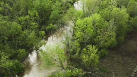 Árboles-Verdes-En-La-Orilla-Del-Río-Wolf-En-William-B.