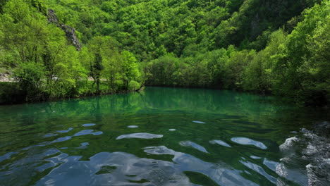 Lush-greenery-surrounds-a-clear,-winding-river-under-a-sky-with-minimal-clouds,-captured-in-an-early-spring-aerial-shot