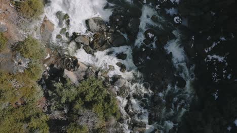 Luftaufnahme-Des-Felsigen-Baches-Im-Owen-Sound-In-Ontario,-üppige-Bäume-Am-Wasser,-Sonniger-Tag