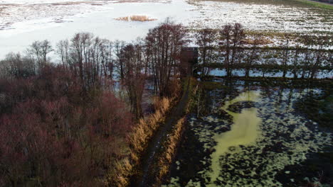 Hiking-Path-to-a-Bird-Watching-Tower-in-Winter,-Aerial