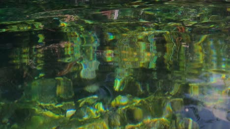 Swimming-in-Beautiful-Mexican-Cenote,-Underwater-View-of-Rocks-and-Fish-Swimming-in-Crystal-Clear-Water,-Point-of-View