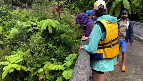 Reveal-from-edge-of-bridge-to-river-to-a-group-of-hikers-standing-on-a-bridge-in-tropical-jungle