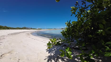 Sunny-beach-view-with-white-sands-framed-by-mangrove-leaves,-serene-tropical-vibe